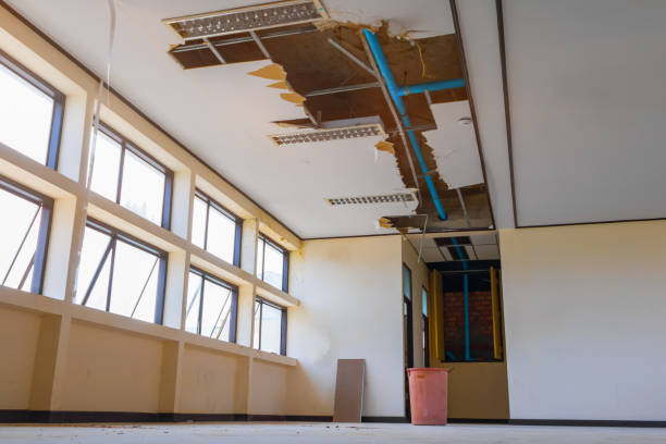 Best Basement water damage restoration  in Leechburg, PA