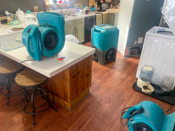 Best Water damage restoration near me  in Leechburg, PA