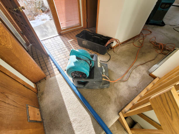 Best Fire Damage Restoration  in Leechburg, PA