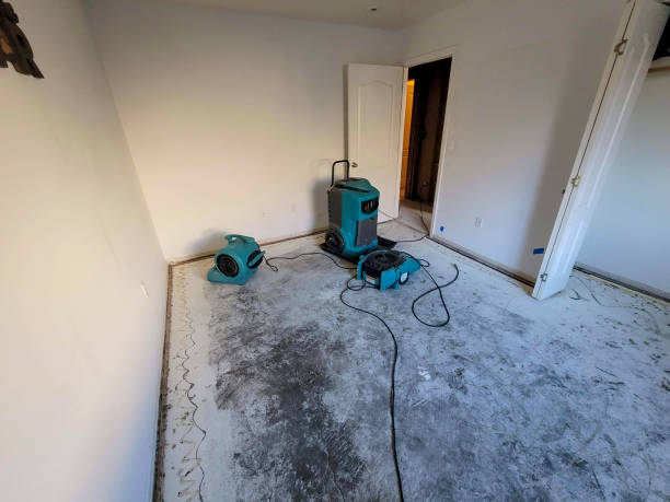 Best Water damage restoration near me  in Leechburg, PA