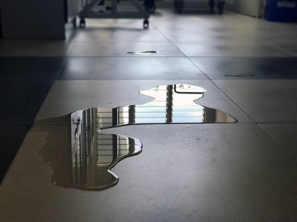 Best Professional water damage repair  in Leechburg, PA