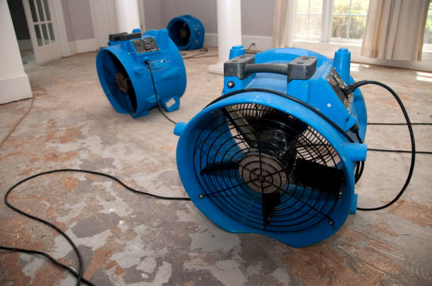 Best Sewage cleanup and water damage restoration  in Leechburg, PA