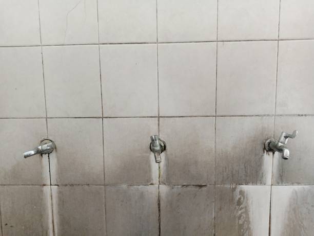 Best Water damage restoration insurance claims  in Leechburg, PA