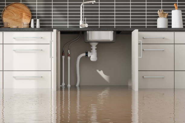 Reliable Leechburg, PA Water damage restoration Solutions