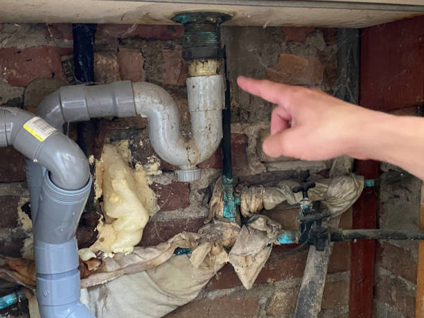 Best Flooded house restoration  in Leechburg, PA