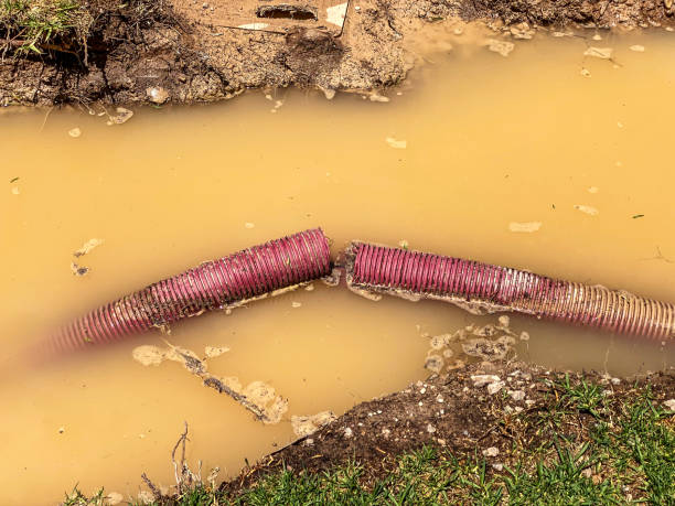 Best Professional water damage repair  in Leechburg, PA